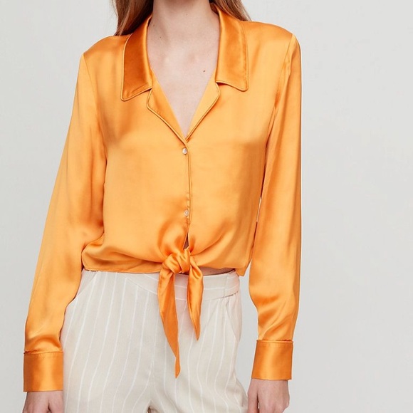 Aritzia Tops - Wilfred Peaufiner Blouse